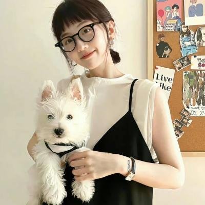 壳中少女 排气